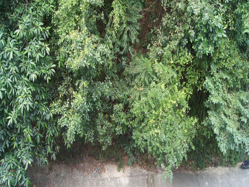Hotel Hsiang Garden SDK Εξωτερικό φωτογραφία